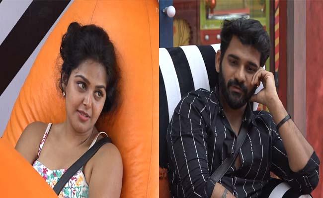 Bigg Boss 4: No Pulihora... No Footage!